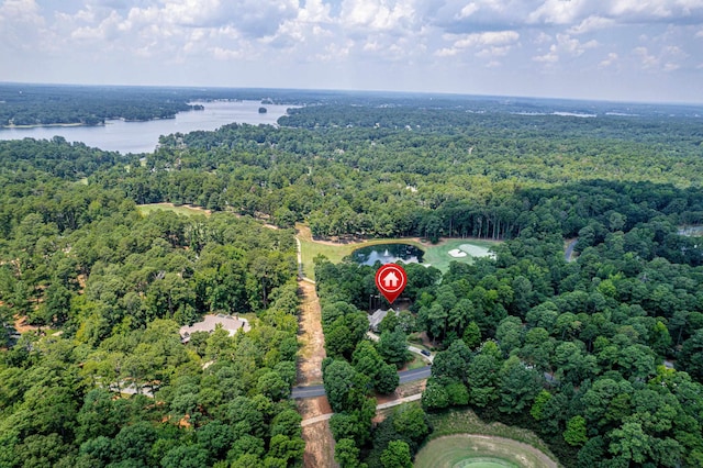 1191 Linger Longer Dr, Greensboro, GA 30642 - aerial view of property's location with a heavily wooded area and a nearby body of water