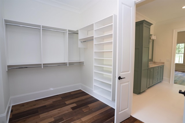 spacious closet featuring dark hardwood / wood-style flooring and sink