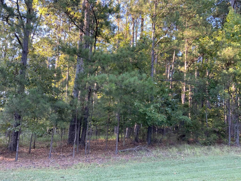 1061 Big Water Pt, Greensboro, GA 30642