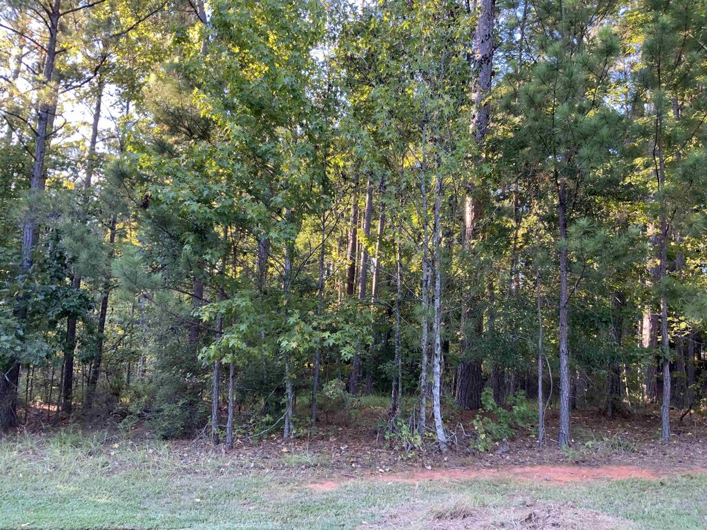 1061 Big Water Pt, Greensboro, GA 30642