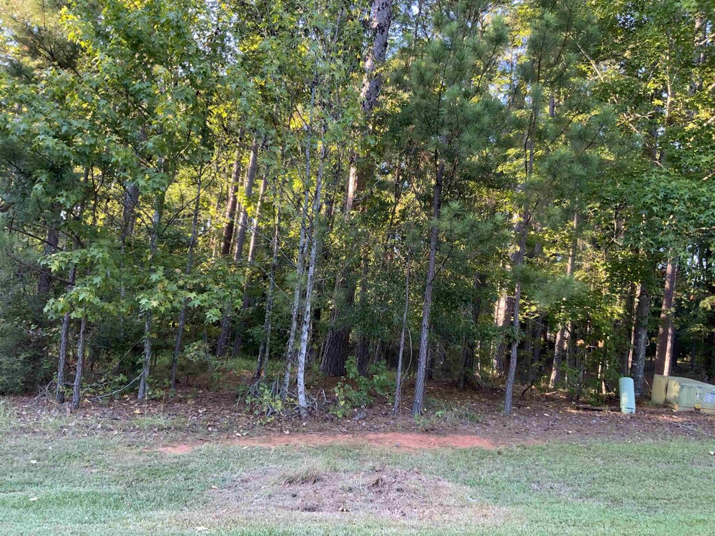 1061 Big Water Pt, Greensboro, GA 30642