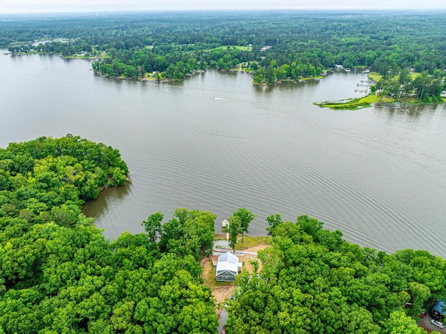 631 Susan Davis Rd, Sparta, GA 31087 - aerial view of a heavily wooded area and a large body of water