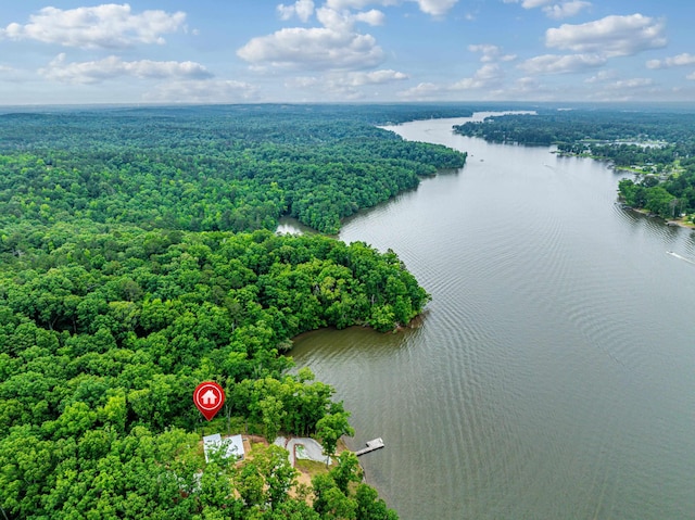 631 Susan Davis Rd, Sparta, GA 31087 - drone / aerial view of a forest and a large body of water