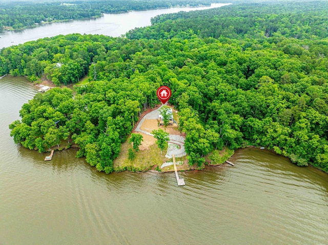 631 Susan Davis Rd, Sparta, GA 31087 - bird's eye view of a large body of water and a heavily wooded area
