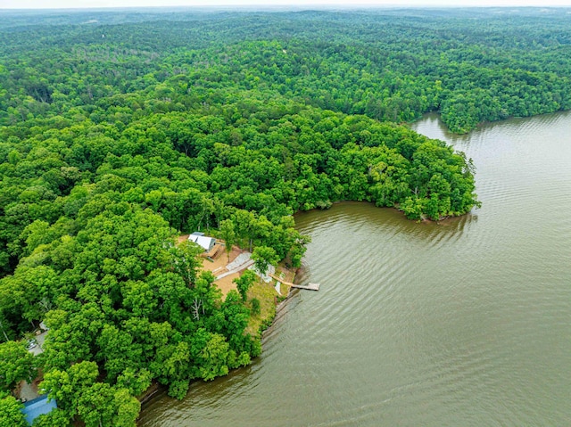 631 Susan Davis Rd, Sparta, GA 31087 - bird's eye view of a forest and a nearby body of water
