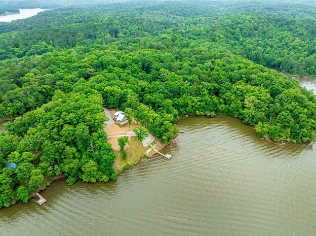 631 Susan Davis Rd, Sparta, GA 31087 - bird's eye view of a forest and a large body of water