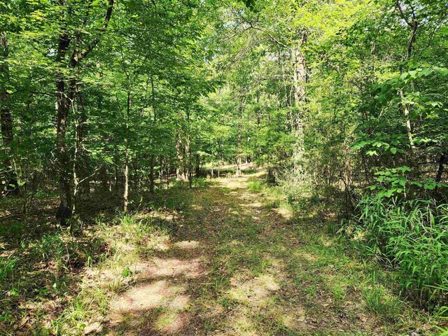 145 Sugar Creek Rd, Eatonton, GA 31024 - photo 10