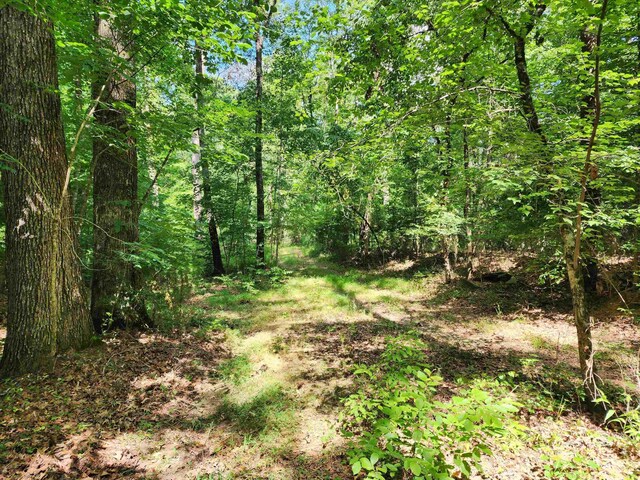 145 Sugar Creek Rd, Eatonton, GA 31024 - photo 9