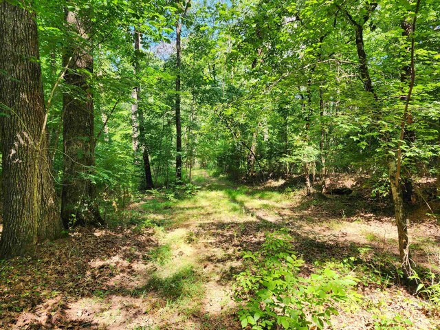 145 Sugar Creek Rd, Eatonton, GA 31024 - photo 6