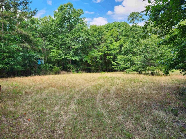 145 Sugar Creek Rd, Eatonton, GA 31024 - photo 11