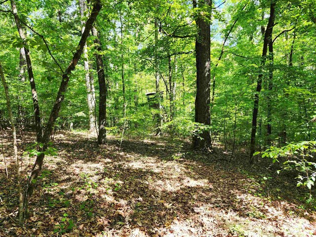 145 Sugar Creek Rd, Eatonton, GA 31024 - photo 4