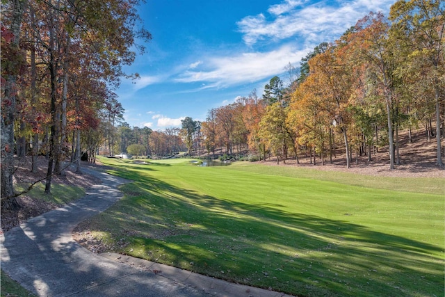 view of property's community featuring a lawn