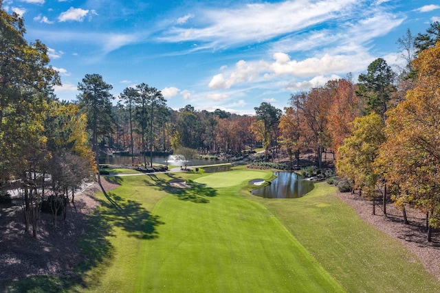 surrounding community featuring a yard and a water view