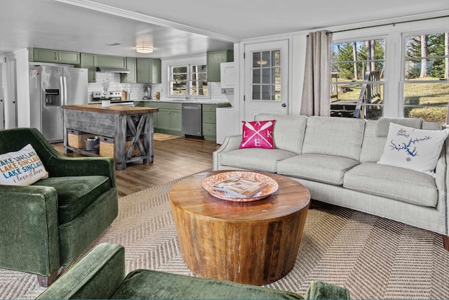 living room with hardwood / wood-style flooring and sink