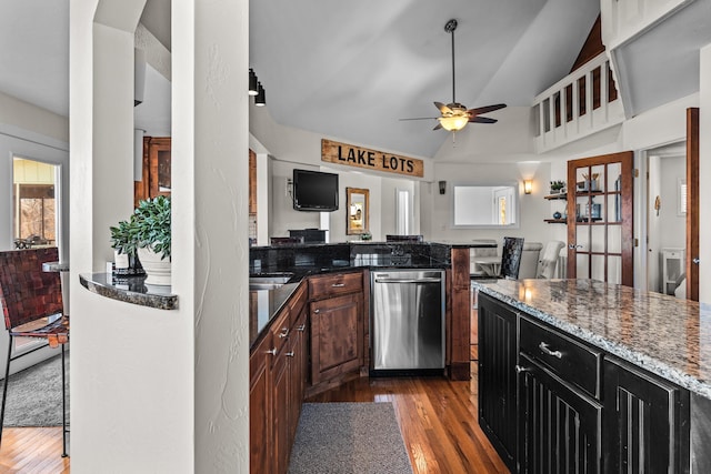 kitchen with stone countertops, lofted ceiling, ceiling fan, wood finished floors, and stainless steel dishwasher