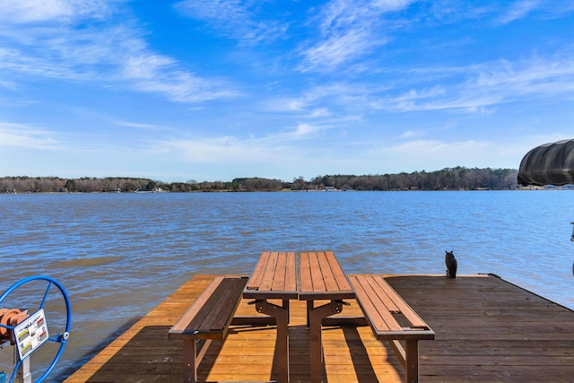 dock area with a water view