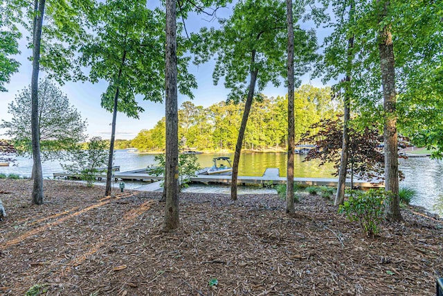 view of water feature featuring a dock