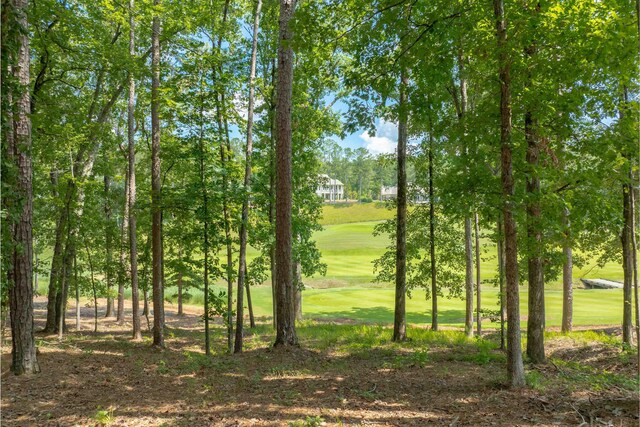 1000 Creek Blf, Greensboro, GA 30642 - photo 8