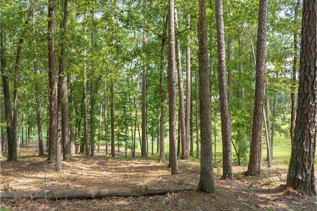 1000 Creek Blf, Greensboro, GA 30642 - photo 7