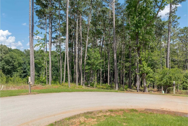 1000 Creek Blf, Greensboro, GA 30642 - photo 3