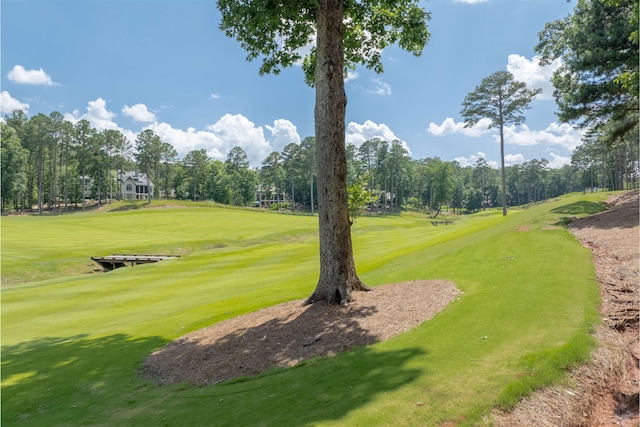 1000 Creek Blf, Greensboro, GA 30642 - photo 12