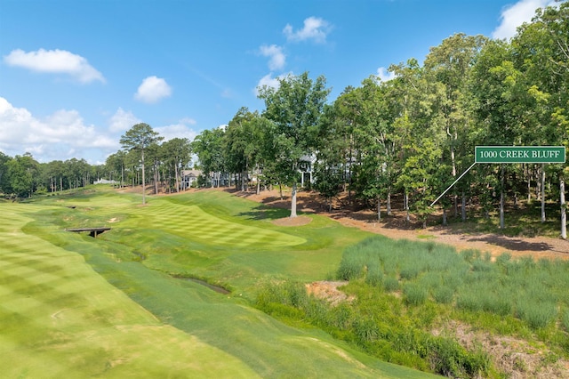 1000 Creek Blf, Greensboro, GA 30642 - photo 1
