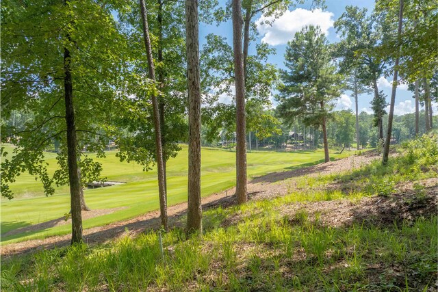 1000 Creek Blf, Greensboro, GA 30642 - photo 10