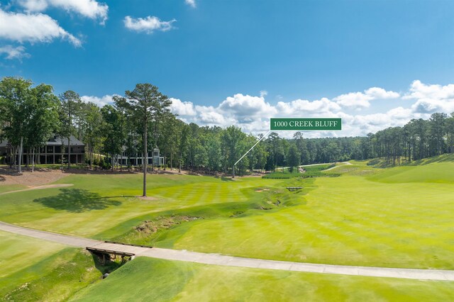 1000 Creek Blf, Greensboro, GA 30642 - photo 17