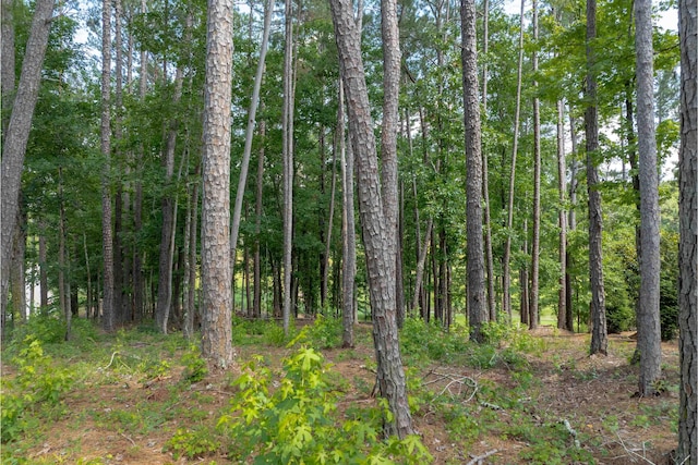 1000 Creek Blf, Greensboro, GA 30642 - photo 6