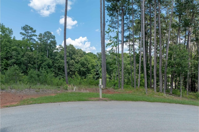 1000 Creek Blf, Greensboro, GA 30642 - photo 5