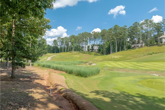 1000 Creek Blf, Greensboro, GA 30642 - photo 13