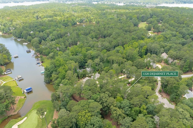1320 Dejarnet Pl, Greensboro, GA 30642 - aerial view of property's location featuring a large body of water and a heavily wooded area