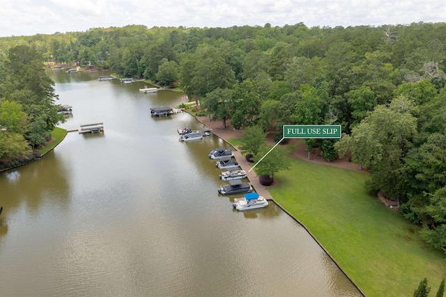 1320 Dejarnet Pl, Greensboro, GA 30642 - aerial view of a large body of water