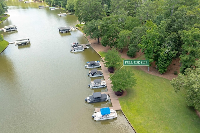 1320 Dejarnet Pl, Greensboro, GA 30642 - drone / aerial view of a nearby body of water