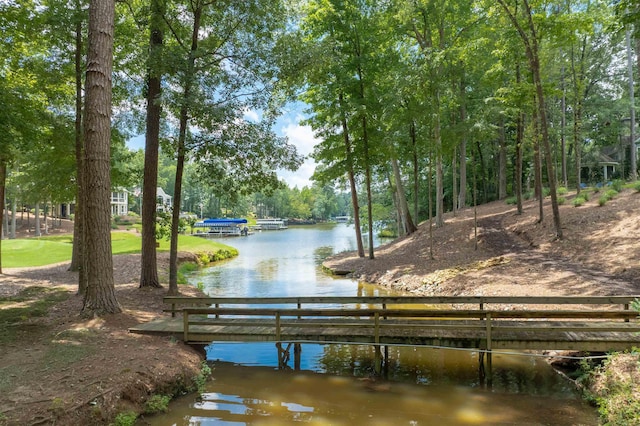 1320 Dejarnet Pl, Greensboro, GA 30642 - water view