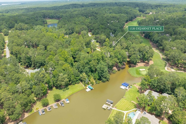1320 Dejarnet Pl, Greensboro, GA 30642 - drone / aerial view of a large body of water