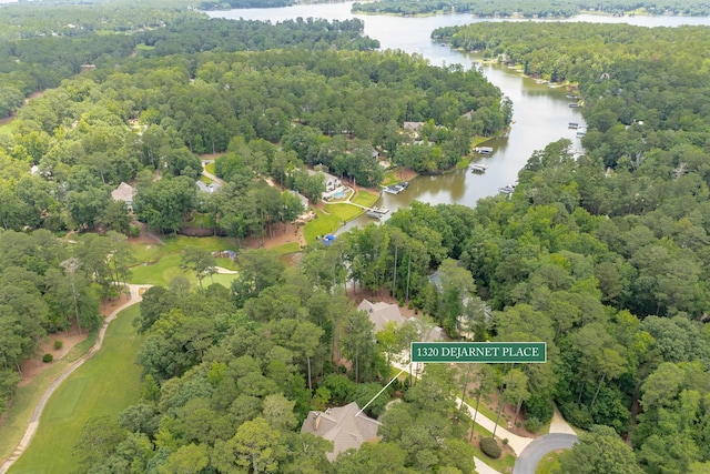1320 Dejarnet Pl, Greensboro, GA 30642 - aerial view of property and surrounding area featuring a large body of water and a forest