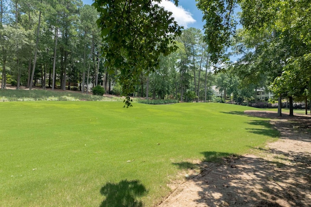 1320 Dejarnet Pl, Greensboro, GA 30642 - view of community with a yard and view of scattered trees