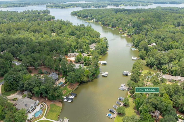 1320 Dejarnet Pl, Greensboro, GA 30642 - aerial view of property and surrounding area featuring a large body of water