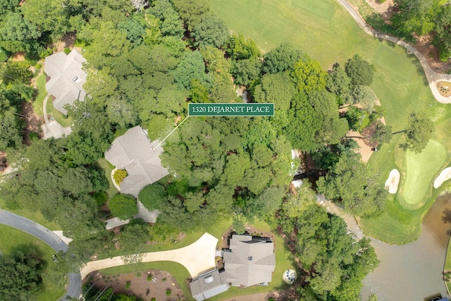 1320 Dejarnet Pl, Greensboro, GA 30642 - bird's eye view of a golf course