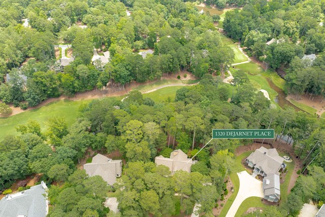 1320 Dejarnet Pl, Greensboro, GA 30642 - bird's eye view of a golf course
