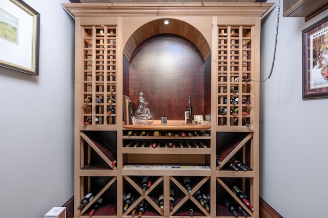 1320 Dejarnet Pl, Greensboro, GA 30642 - view of wine cellar