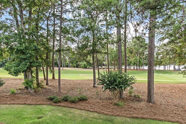 view of community with a lawn