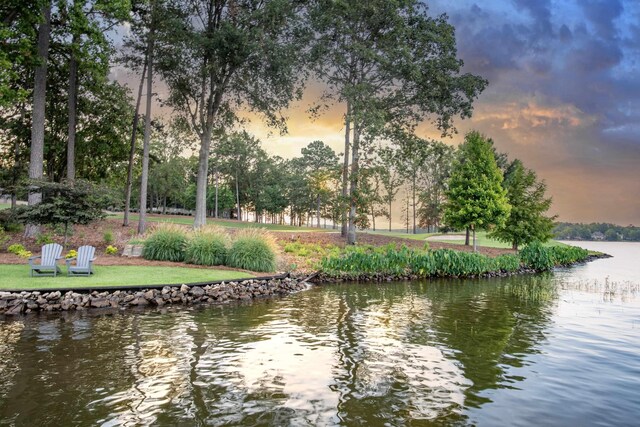 property view of water