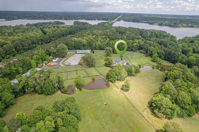 bird's eye view with a water view and a forest view