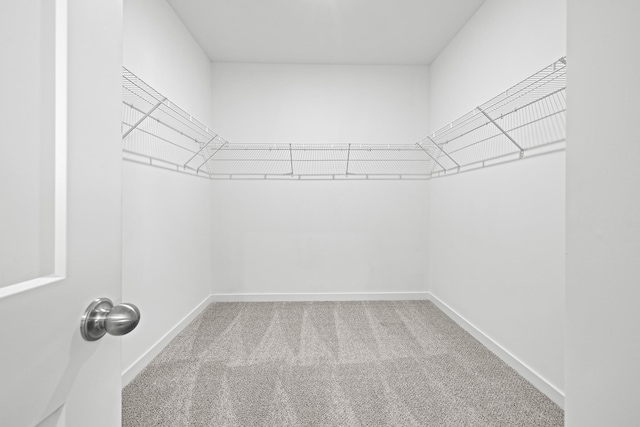 spacious closet with carpet floors