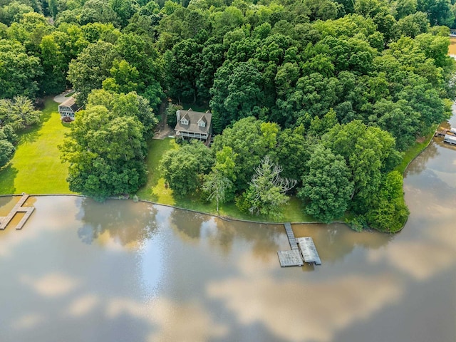 1601 Heidi Trl, Buckhead, GA 30625 - bird's eye view of a large body of water and a heavily wooded area