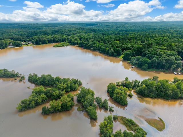 1601 Heidi Trl, Buckhead, GA 30625 - aerial view of a forest and a large body of water