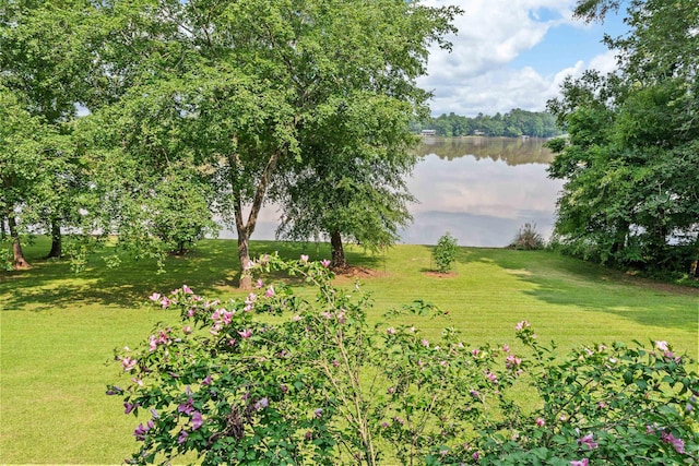 1601 Heidi Trl, Buckhead, GA 30625 - view of green lawn featuring a water view