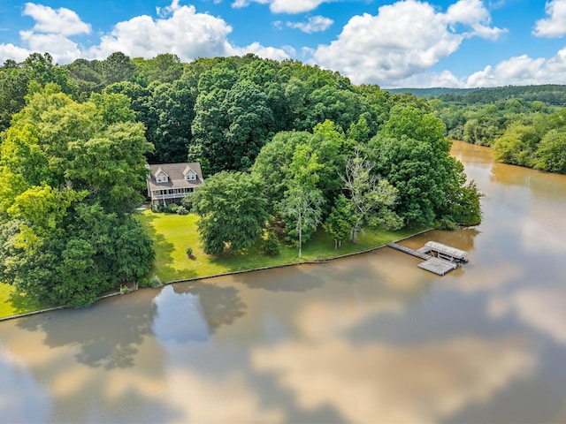 1601 Heidi Trl, Buckhead, GA 30625 - view from above of property with a large body of water and a heavily wooded area